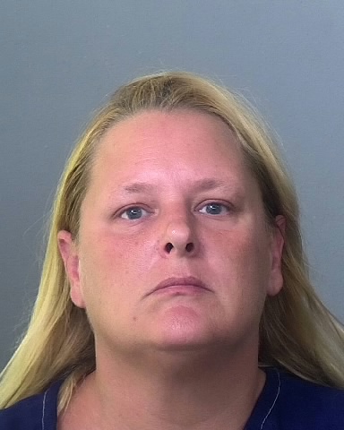 Mugshot of JAMIE R TRAVER