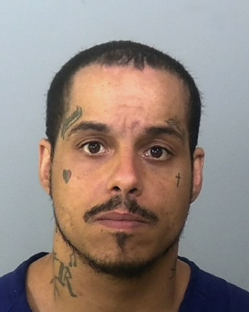 Mugshot of GARY C SABIA