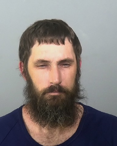 Mugshot of ANDREW E FREDENBURG
