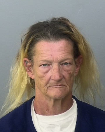 Mugshot of KATHLEEN E CARR