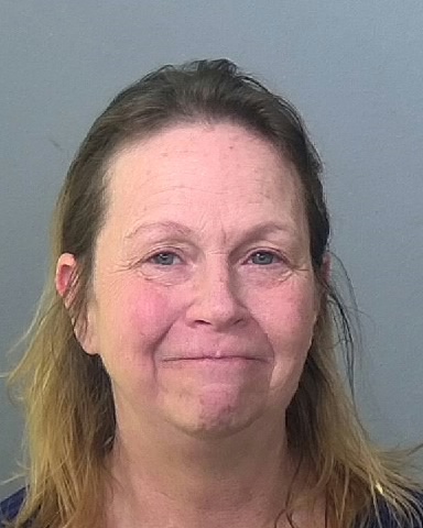 Mugshot of LISA A MACMINN