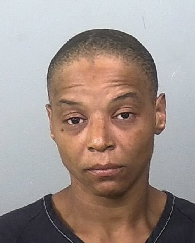 Mugshot of BRANDI L KING