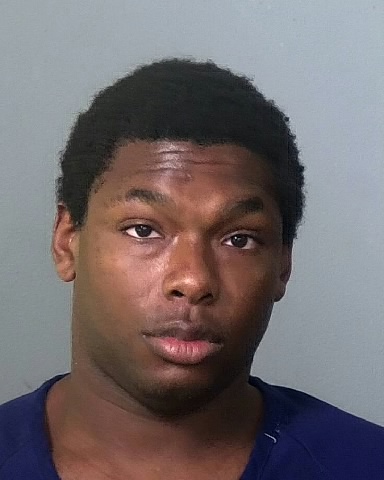 Mugshot of EMMANUEL H CHISOLM