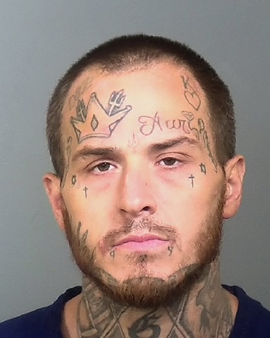 Mugshot of DYLAN Z LOESCHMAN