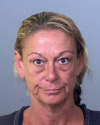 Mugshot of HEIDI L HUDSON