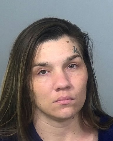 Mugshot of DANIELLE J LEE