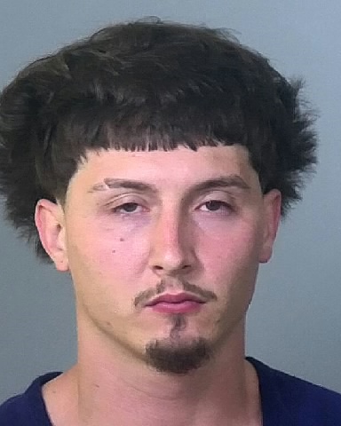 Mugshot of AARON D PAYTON
