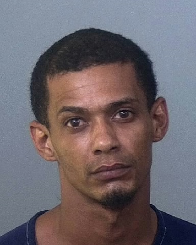 Mugshot of DANTONIO BROWN