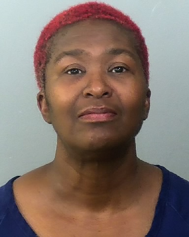 Mugshot of TONYA L PORTER