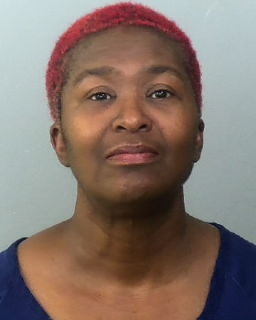 Mugshot of TONYA L PORTER