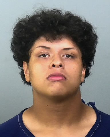 Mugshot of EMILIO J HERNANDEZ MEDINA