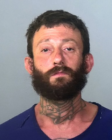 Mugshot of PEDRO NIEVES