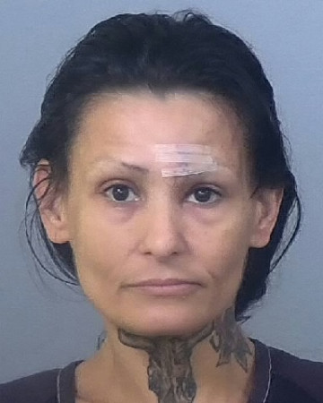 Mugshot of JANIE MORENO