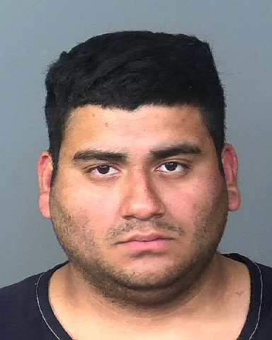 Mugshot of CEDRIC N IRAHETA