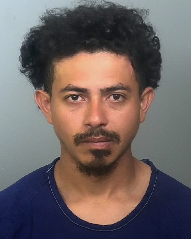 Mugshot of DENIS F SOMARRIBA-CHAMOR