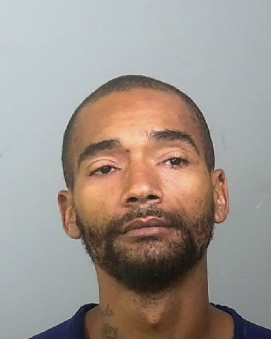Mugshot of DAVIAN L DAVIS