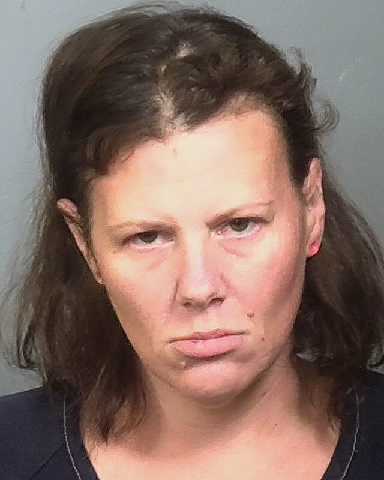 Mugshot of ELISHA D HATFIELD