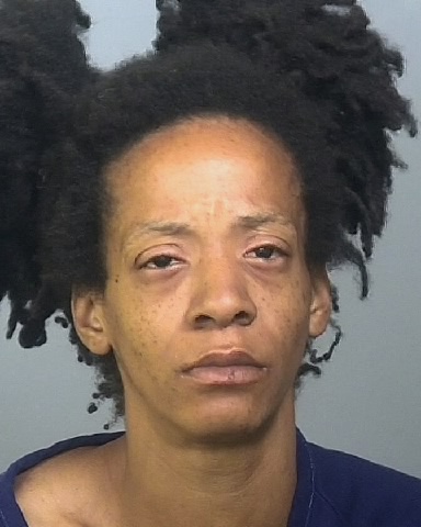 Mugshot of MELISSA N BING