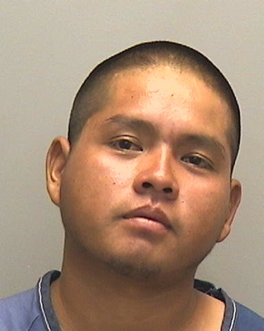Mugshot of DELFINO LUJANO