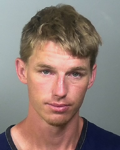 Mugshot of SEAMUS B BROWNING