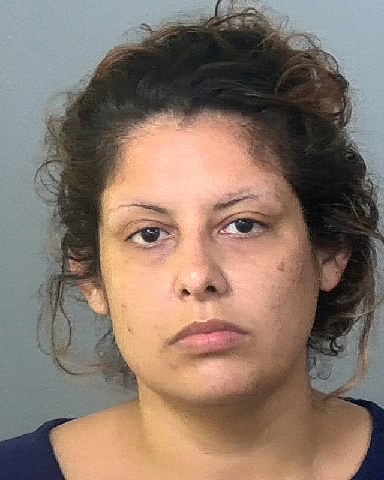 Mugshot of ELISA L FIGUEROA