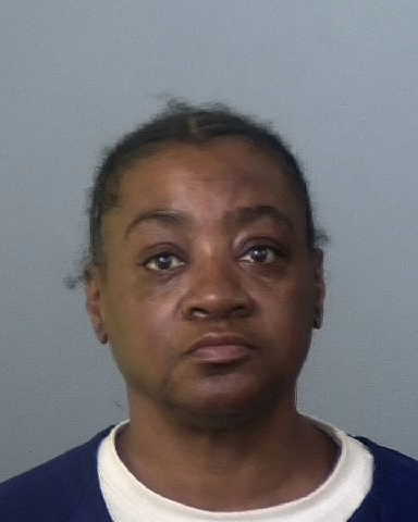 Mugshot of TAMMY K MITCHELL