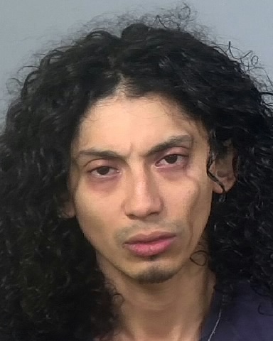 Mugshot of DANIEL A ORTIZ