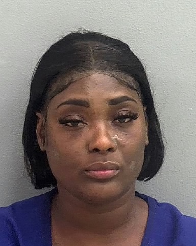 Mugshot of LEPORTIA N KING