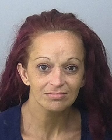 Mugshot of CHRISTINA P HARRISON