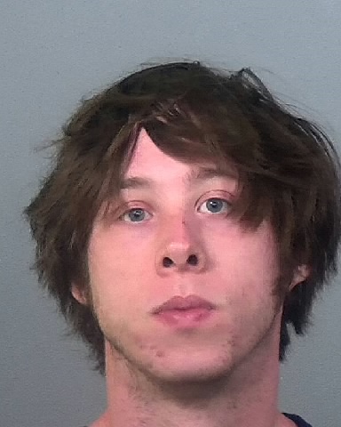 Mugshot of HARRISON G WHITTLE