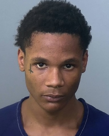 Mugshot of ISMAIL A LEE