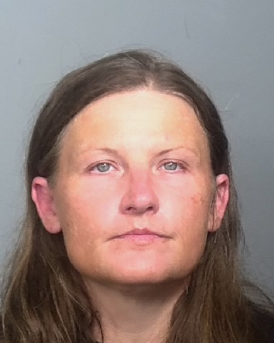 Mugshot of DARCY J INGLES