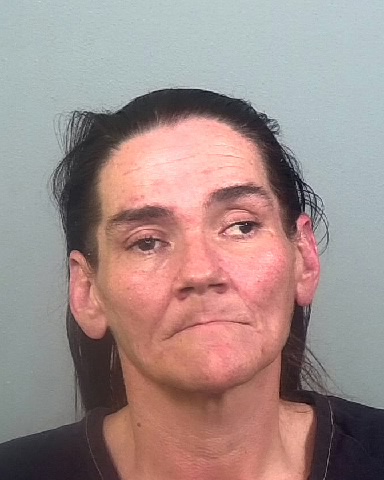 Mugshot of DANIELLE M ANKENEY