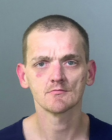 Mugshot of THEODORE V DENNY