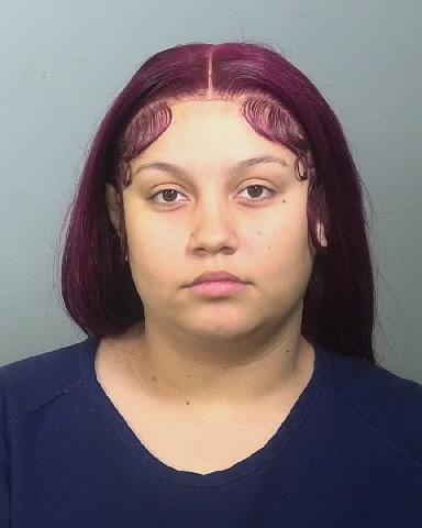 Mugshot of VICTORIA M SANCHEZ