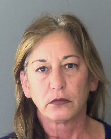 Mugshot of LISA M MARTINO