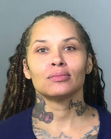 Mugshot of DANIELLE C HALL