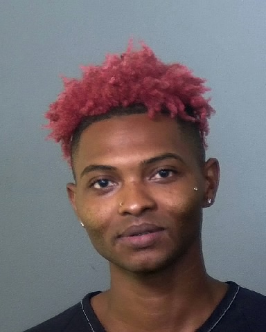 Mugshot of ORIEANTE L BROWN
