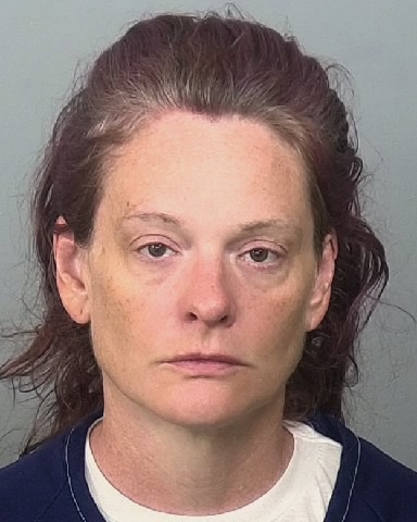 Mugshot of AMANDA J COOK
