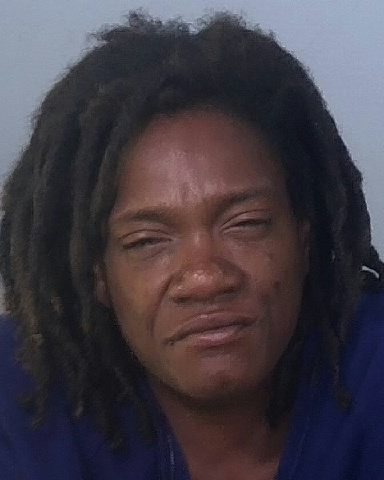 Mugshot of JENNIFER L STAMPER