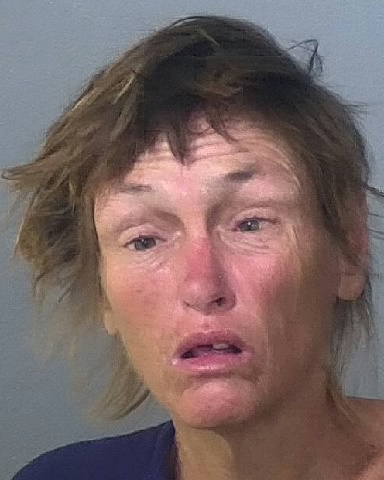 Mugshot of MICHELLE C CARSON