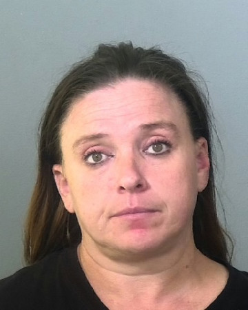 Mugshot of TANYA CRIBB