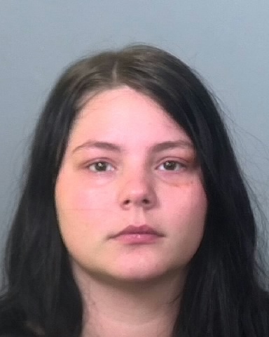 Mugshot of MARY A BIBUS