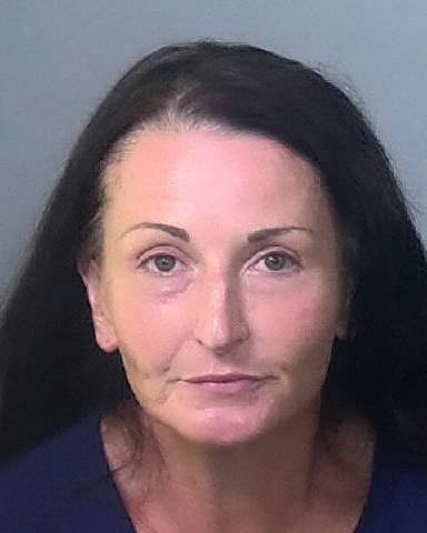 Mugshot of ANDREA R BROOKS
