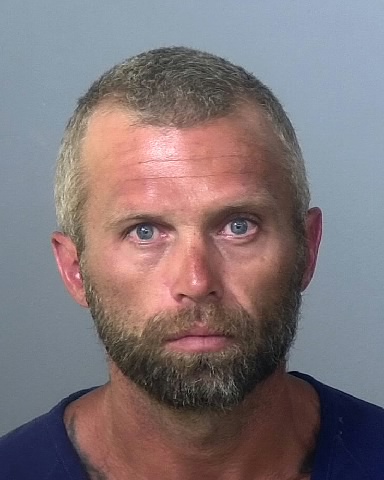 Mugshot of CHARLES M WELLS