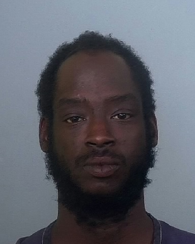 Mugshot of ERIC L EALY