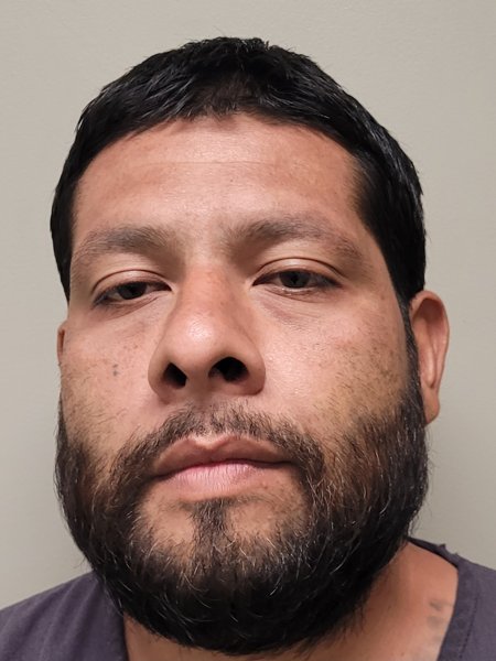 Mugshot of ALFREDO ENRIQUE MOLINA