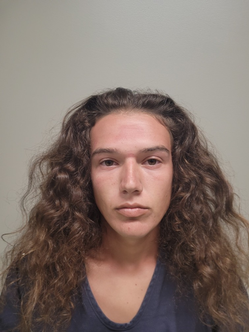Mugshot of ANTHONY LEE DICICCO