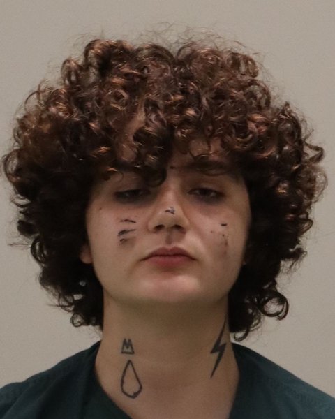 Mugshot of LYLA RAINE WELSH