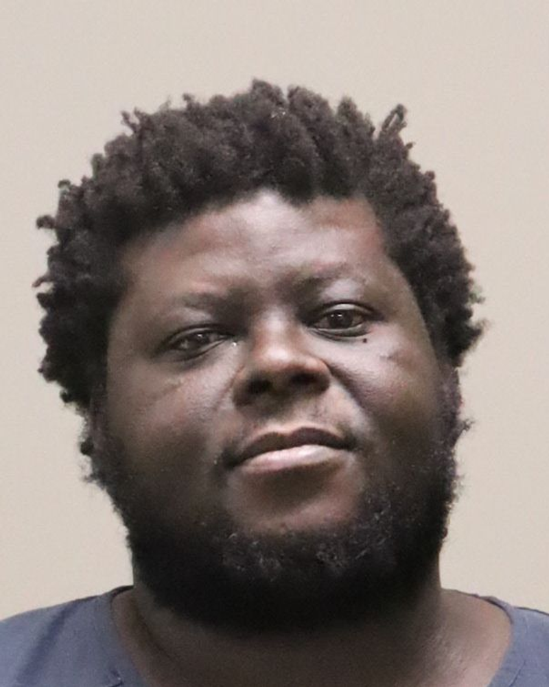 Mugshot of JULIUS, Jr HAMILTON